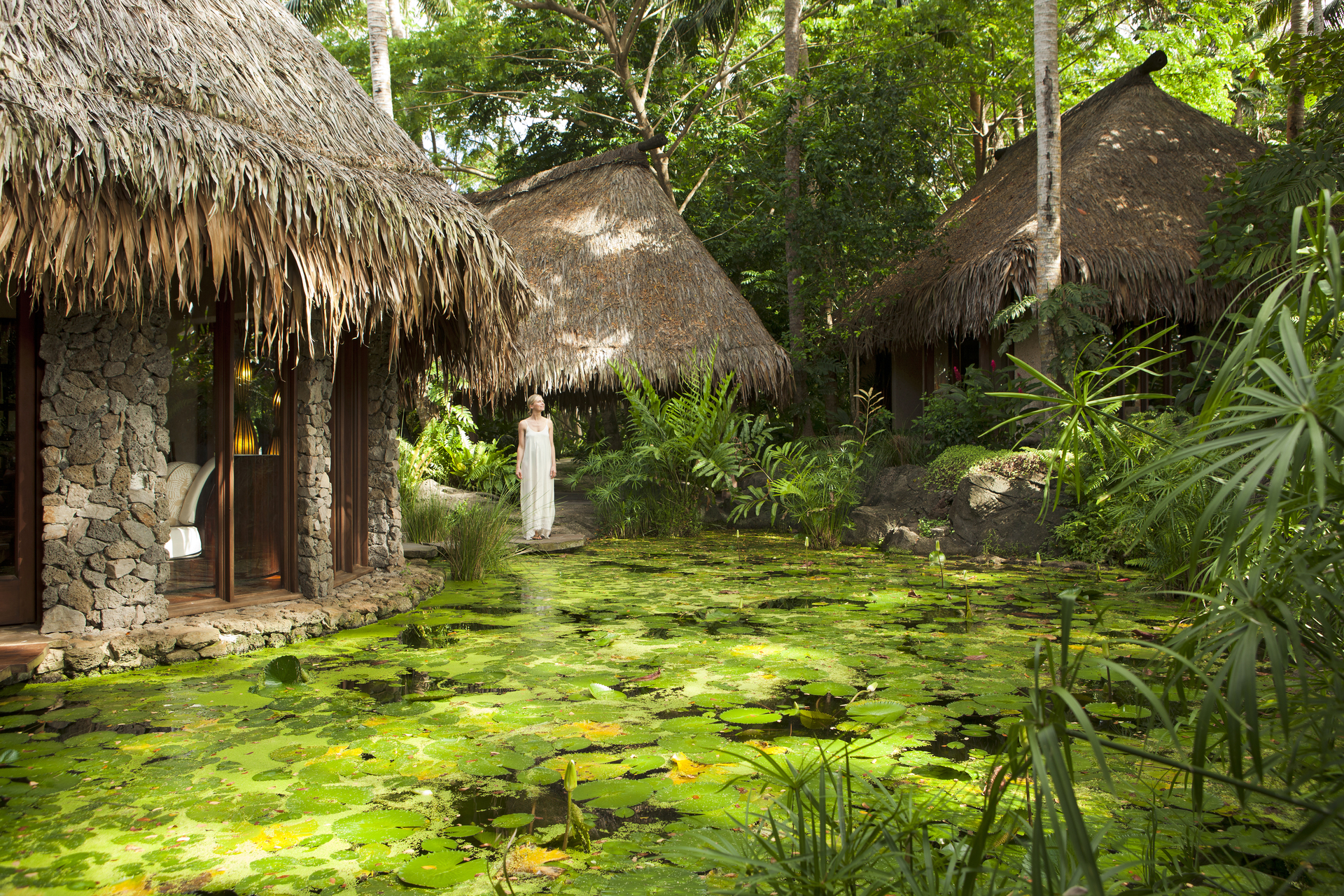 laucala island lodges and natural pond