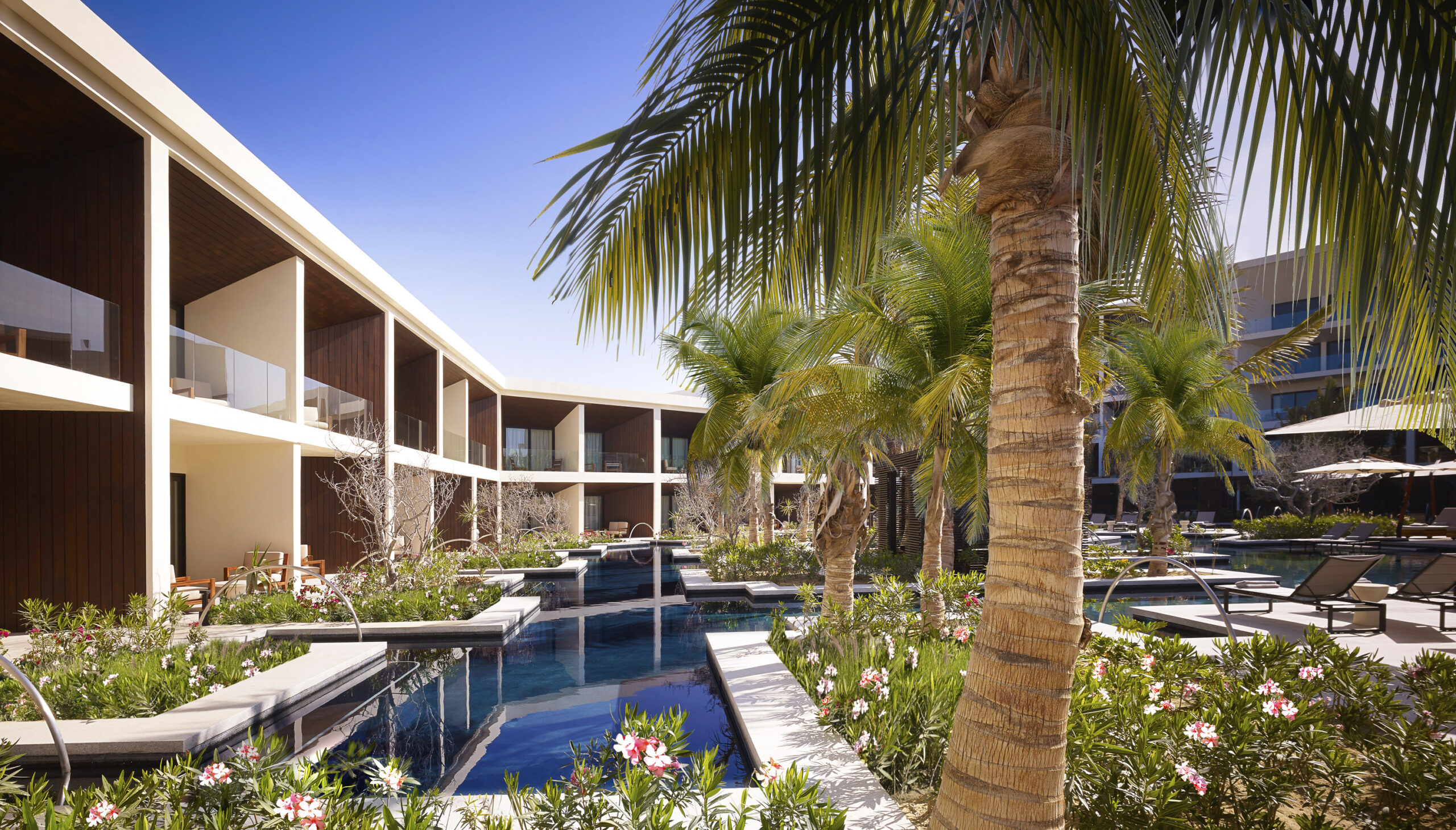Nobu hotel los cabos architecture and landscape looking over the water feature with a tree