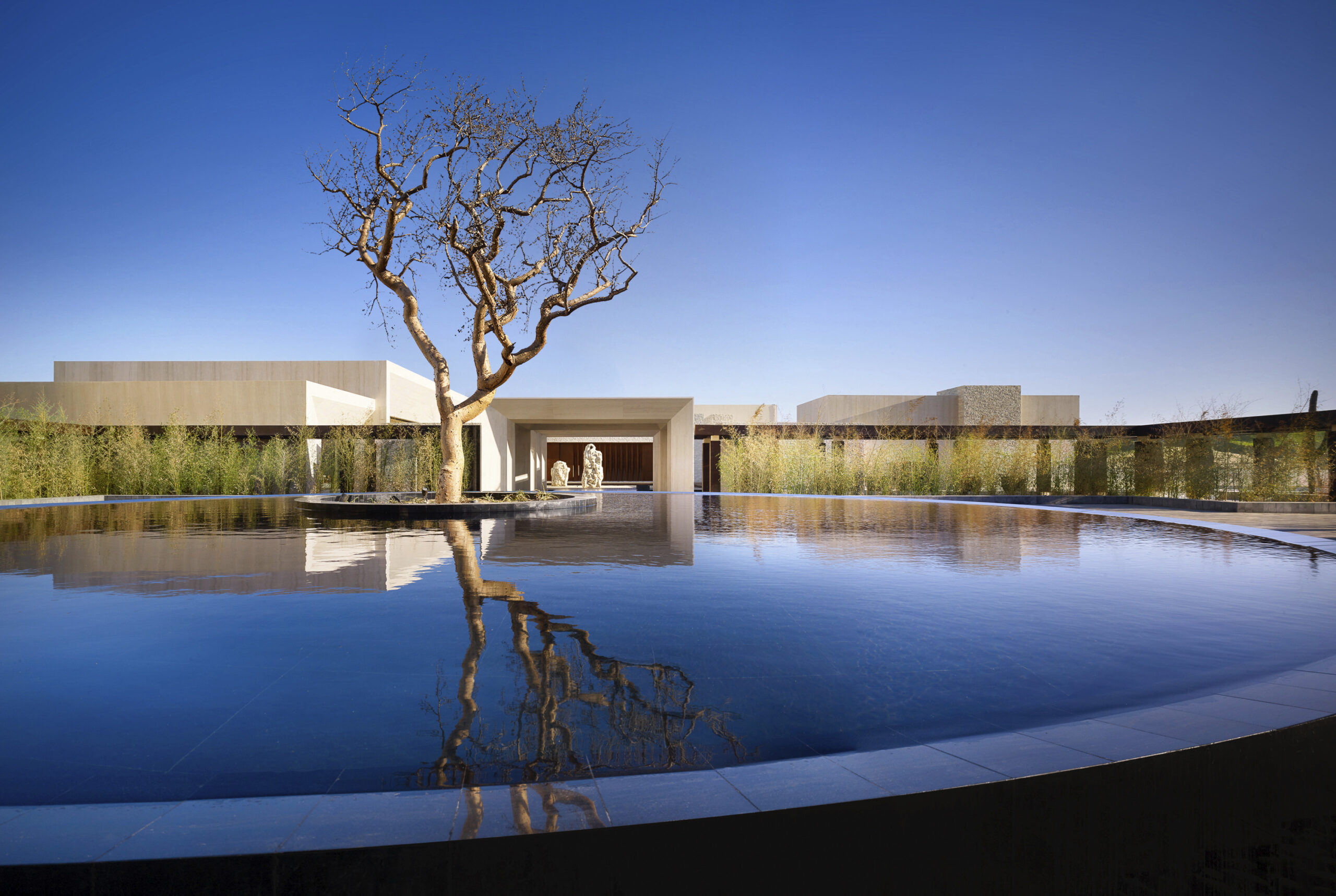 Nobu hotel los cabos architecture and landscape looking over the water feature with a tree towards the main lobby and reception area