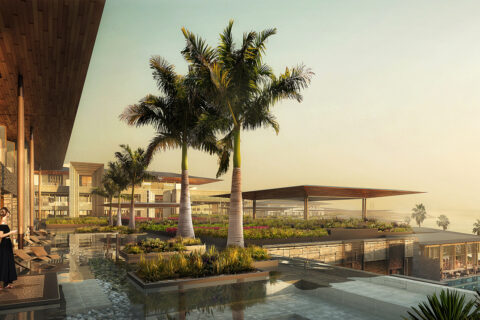 Poolside view with palm trees in the background