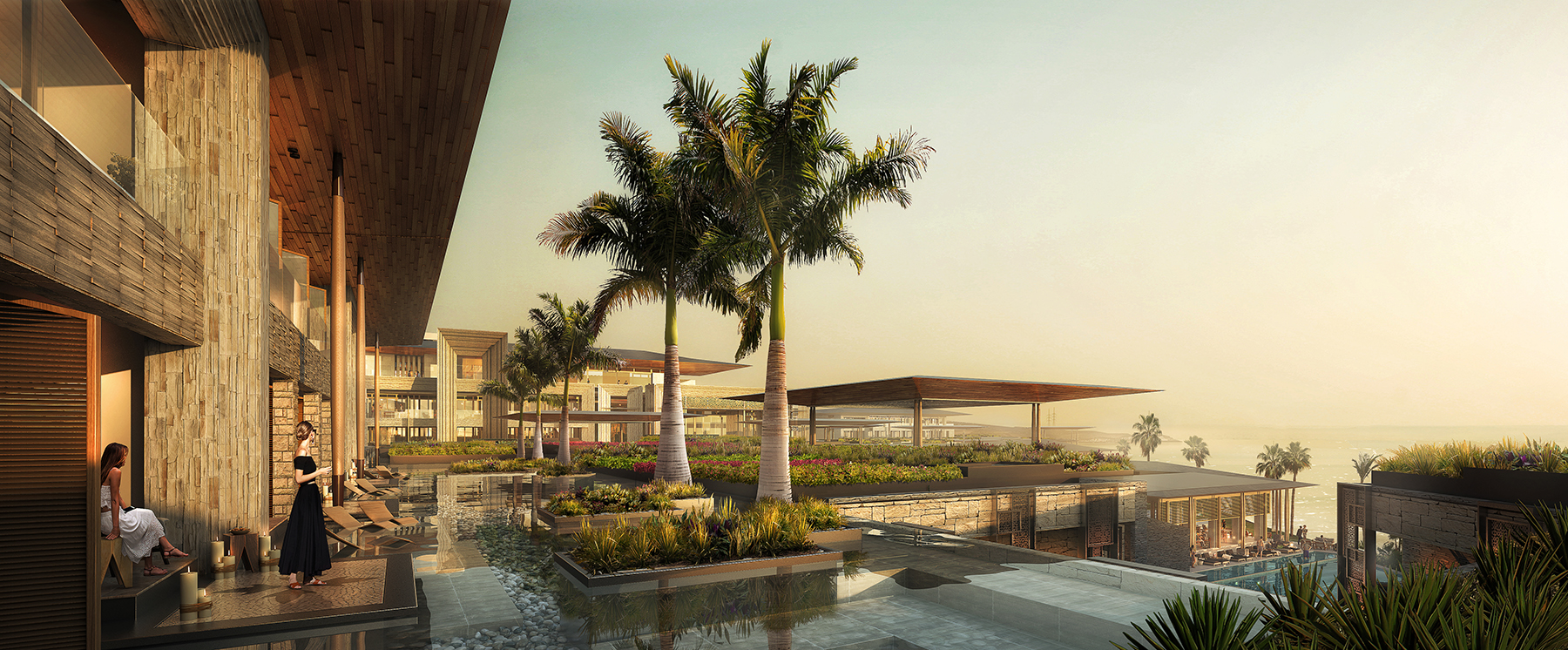 Poolside view with palm trees in the background