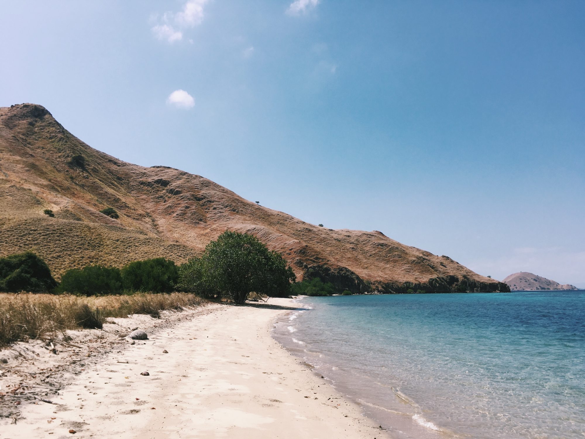 View of beach