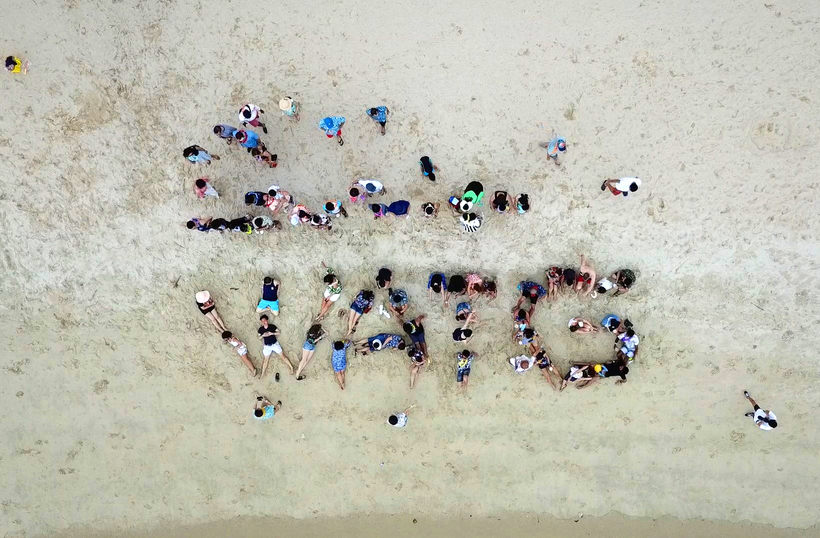 watg staff on beach making watg logo