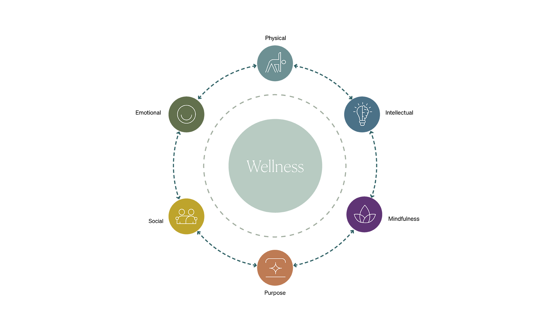 Toby's Wellness Insights