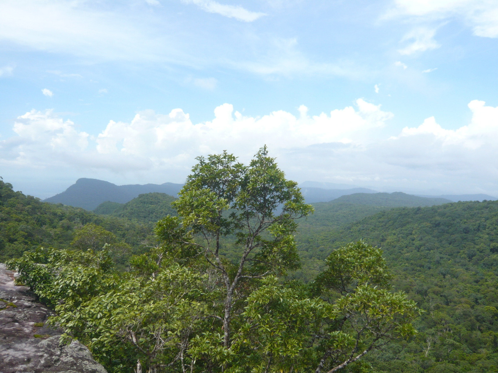 View from a rocky outcrop over dense tropical forest and rolling hills, with distant hazy peaks and a coastline visible on the horizon.